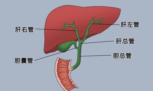 不出汗调理哪些穴位-不出汗的人怎么排毒网 - 为你提供不出汗的人怎么排毒最快、不出汗的人身体好吗